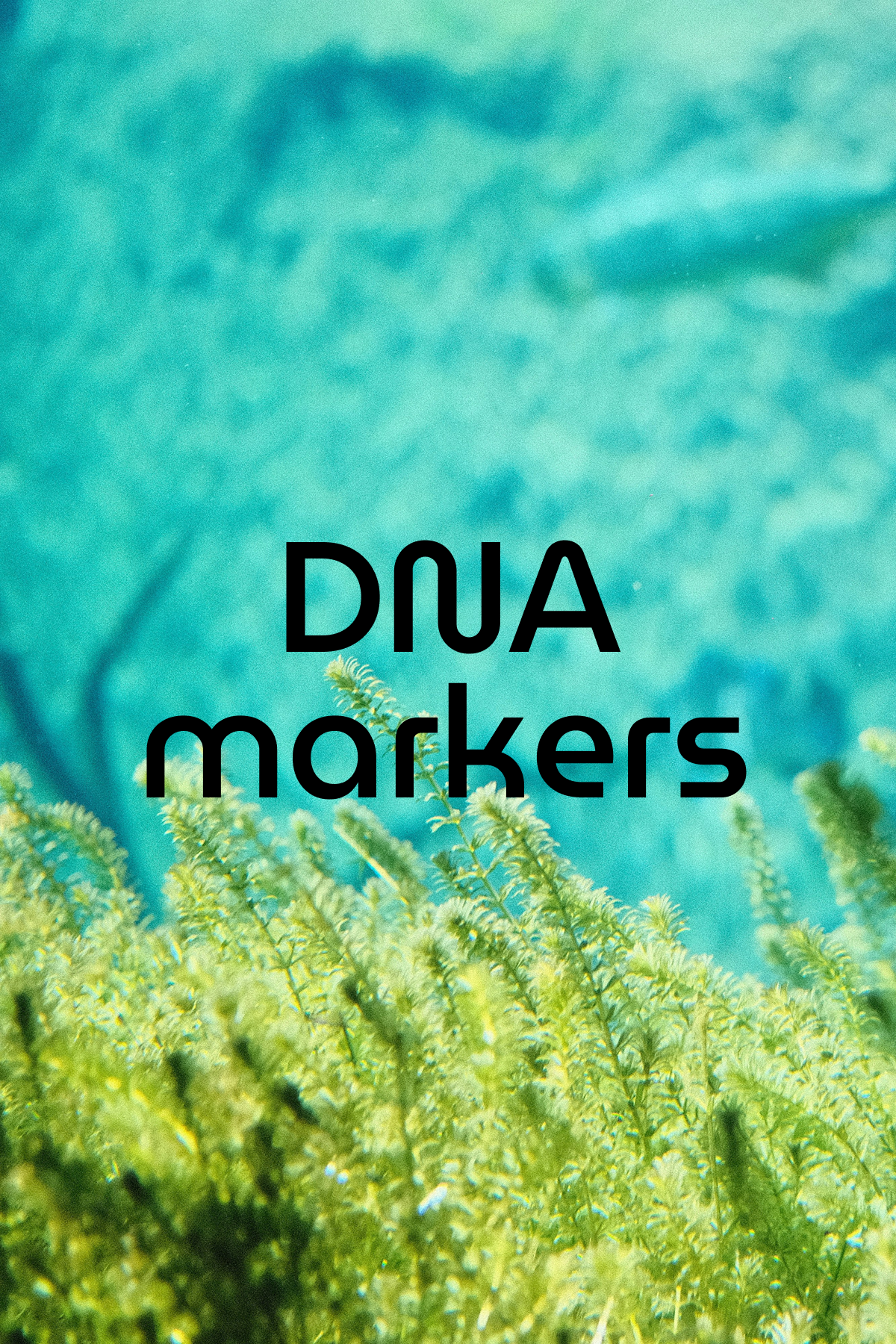 Grid of colored panels representing multiple biomarker categories